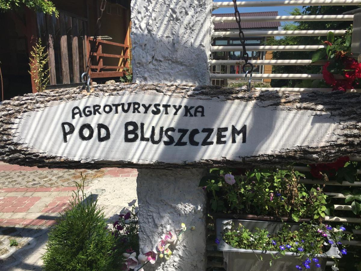 Agroturystyka Pod Bluszczem Krasnobród Zewnętrze zdjęcie