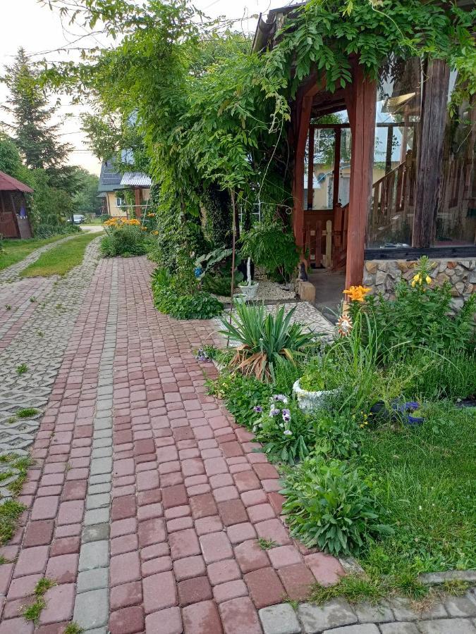 Agroturystyka Pod Bluszczem Krasnobród Zewnętrze zdjęcie