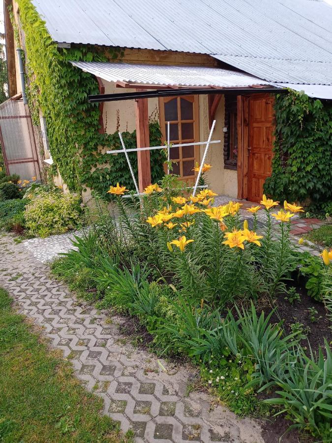 Agroturystyka Pod Bluszczem Krasnobród Zewnętrze zdjęcie