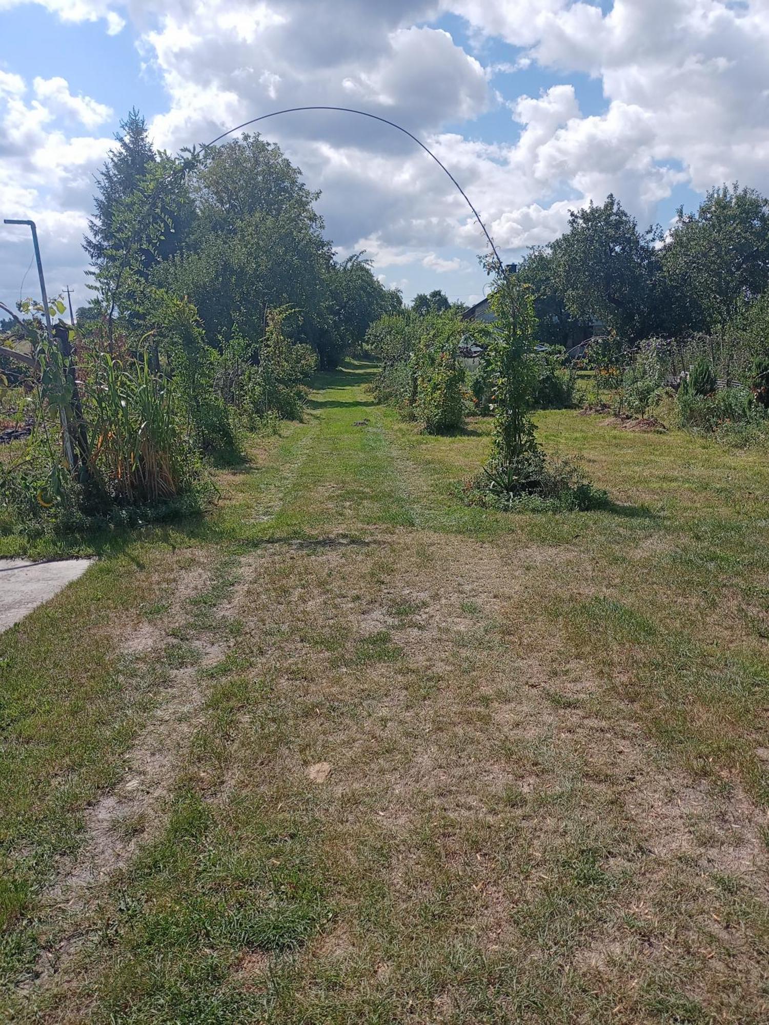 Agroturystyka Pod Bluszczem Krasnobród Zewnętrze zdjęcie